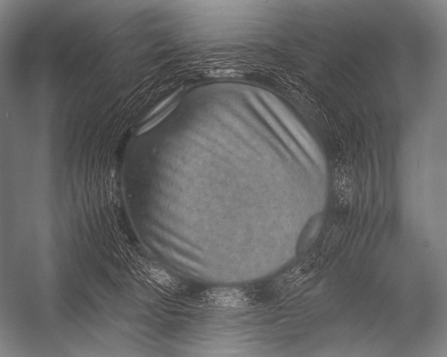 X0000052560322200507221442