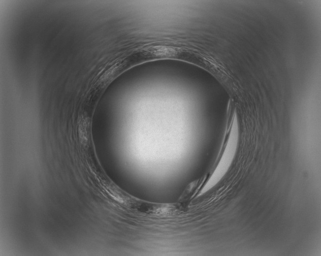 X0000052560325200507221442