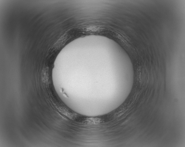 X0000052560328200507221442