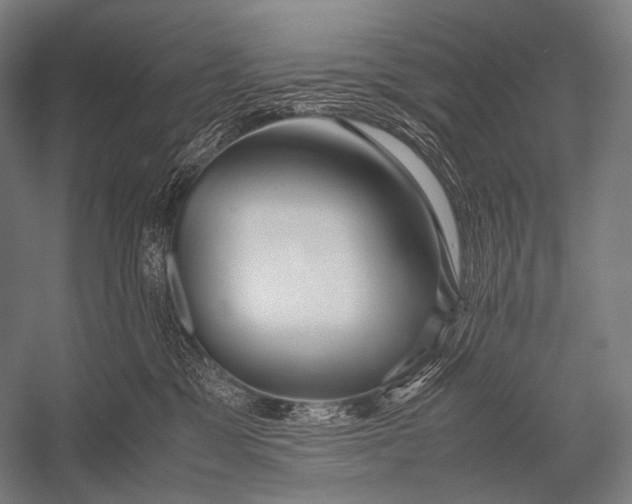 X0000052560329200507221442