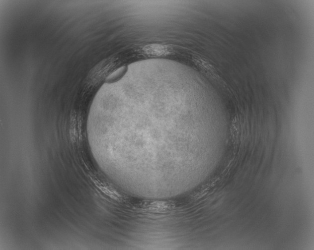 X0000052560330200507221442