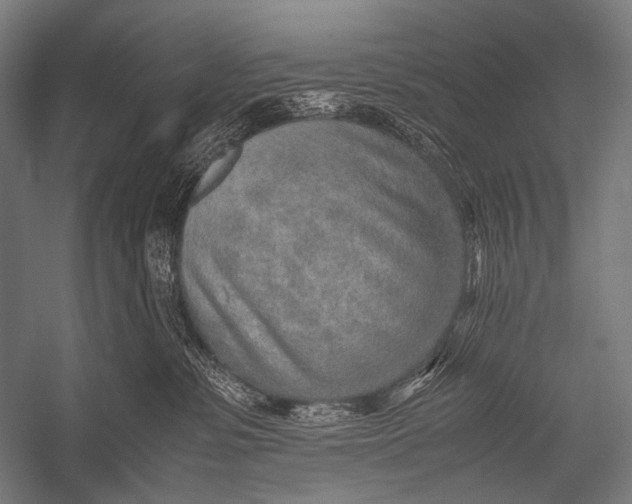 X0000052560331200507221442