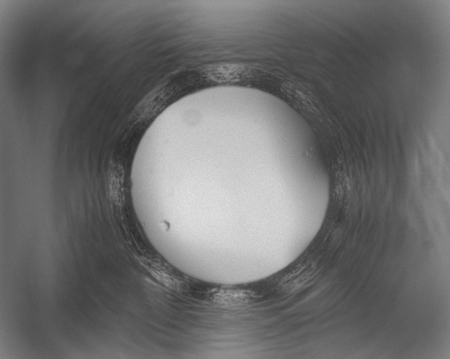 X0000052560332200507221442