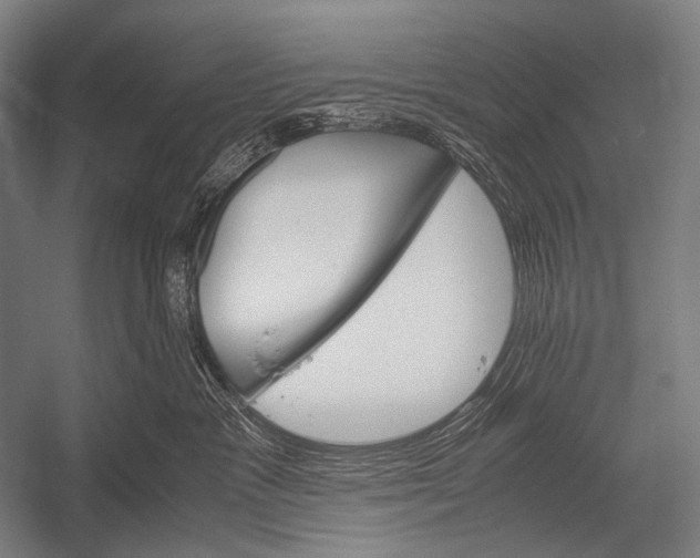 X0000052560333200507221442