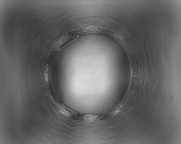 X0000052560334200507221442