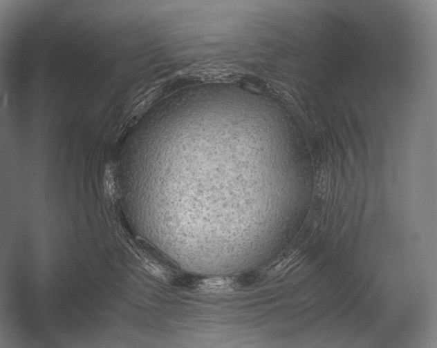 X0000052560335200507221442