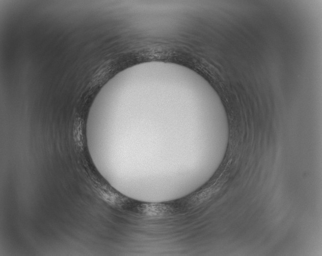 X0000052560336200507221442