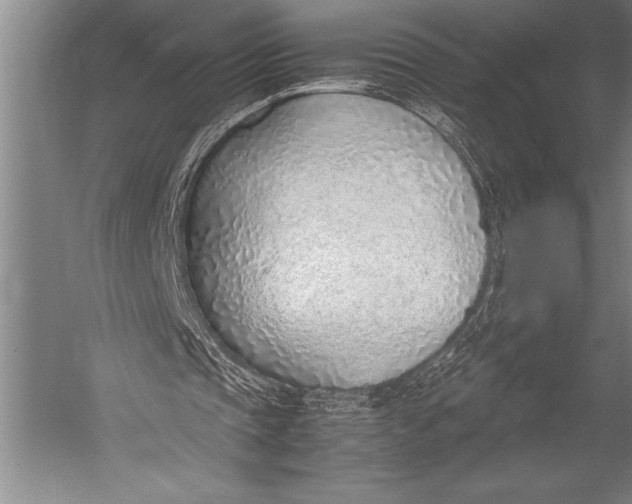 X0000052560337200507221441