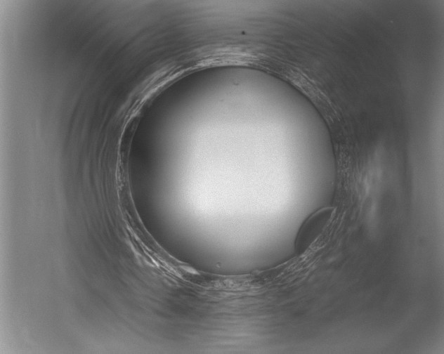 X0000052560338200507221441