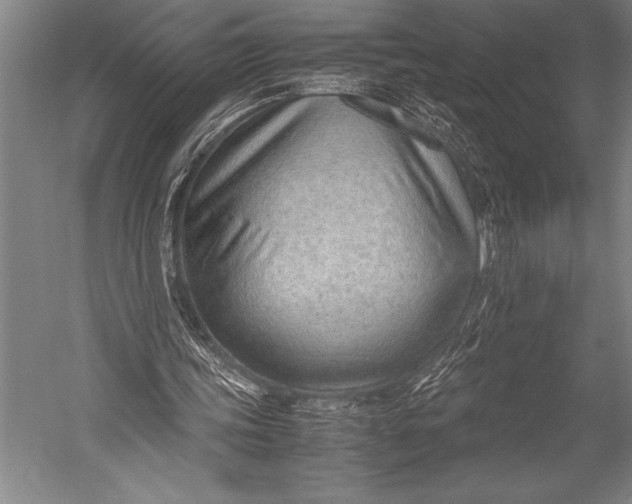 X0000052560339200507221441