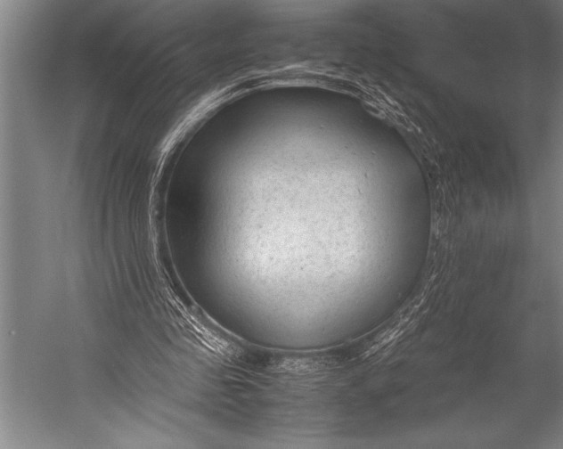 X0000052560341200507221441