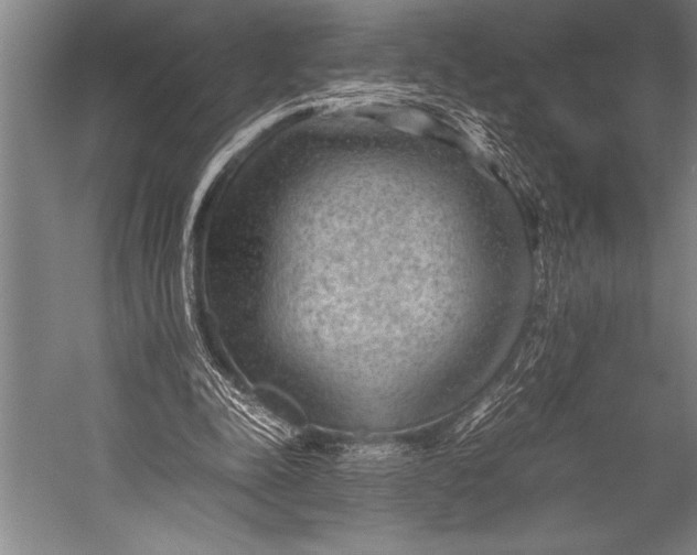 X0000052560342200507221441