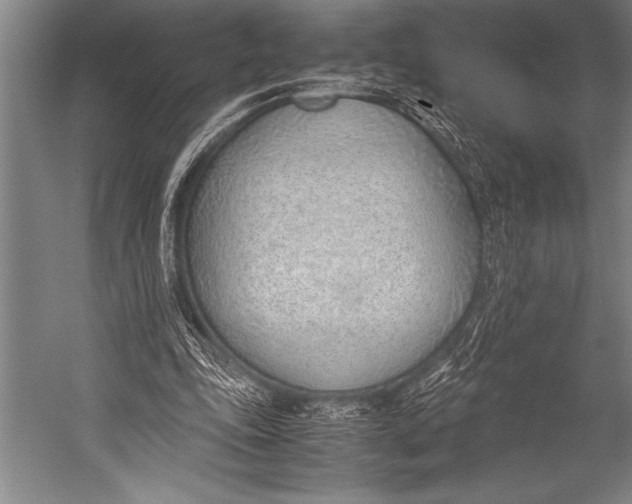 X0000052560343200507221441