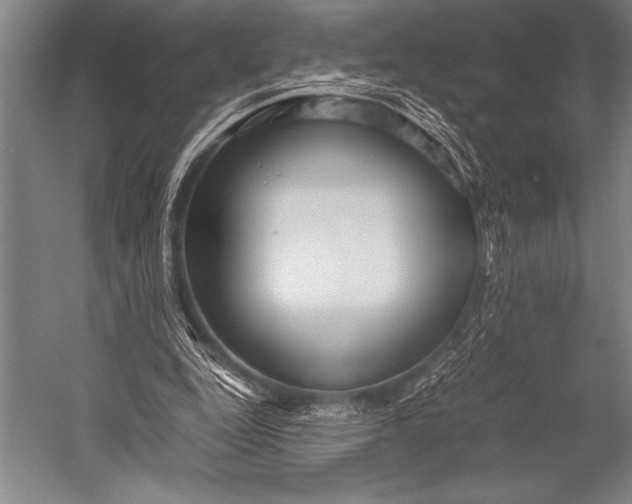 X0000052560344200507221441