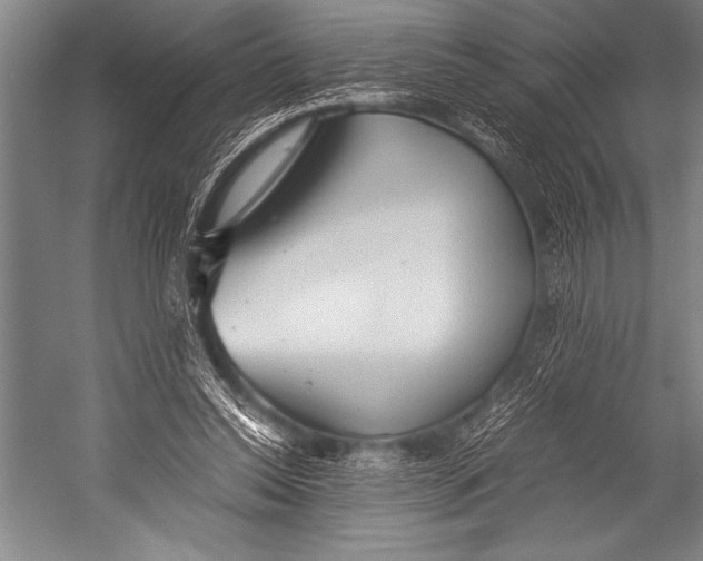 X0000052560350200507221442