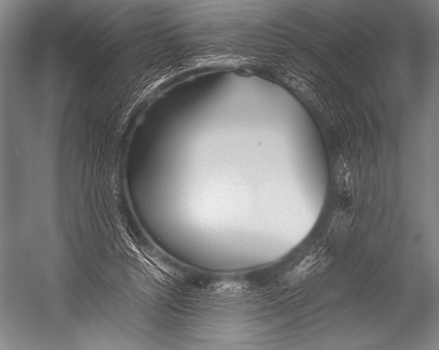 X0000052560352200507221442