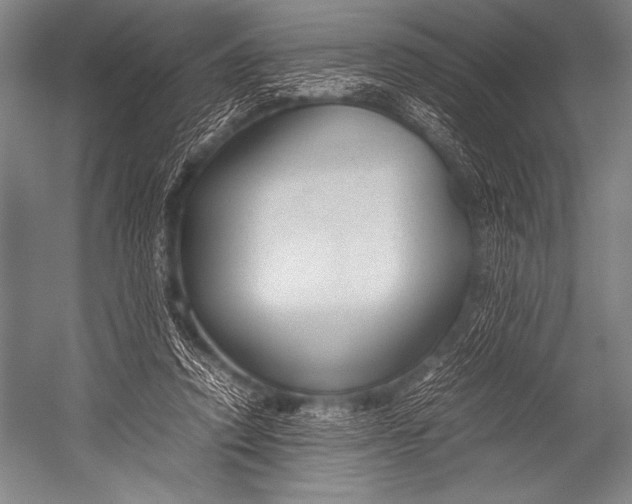 X0000052560354200507221442