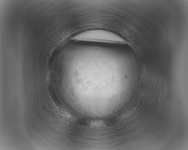 X0000052560355200507221442