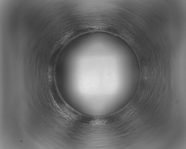 X0000052560356200507221442