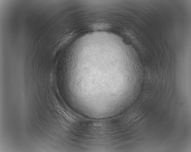 X0000052560357200507221442