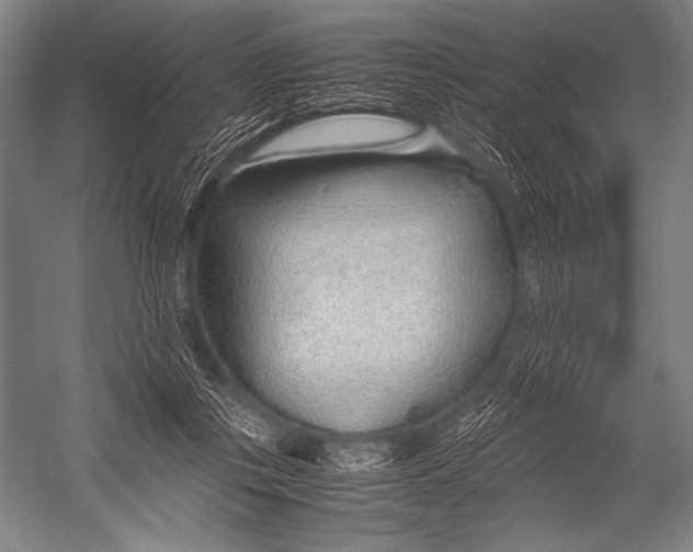 X0000052560359200507221442