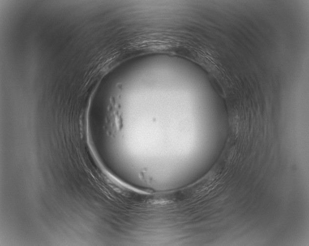 X0000052560360200507221442