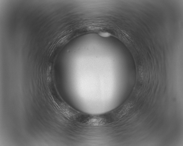 X0000052560364200507221442
