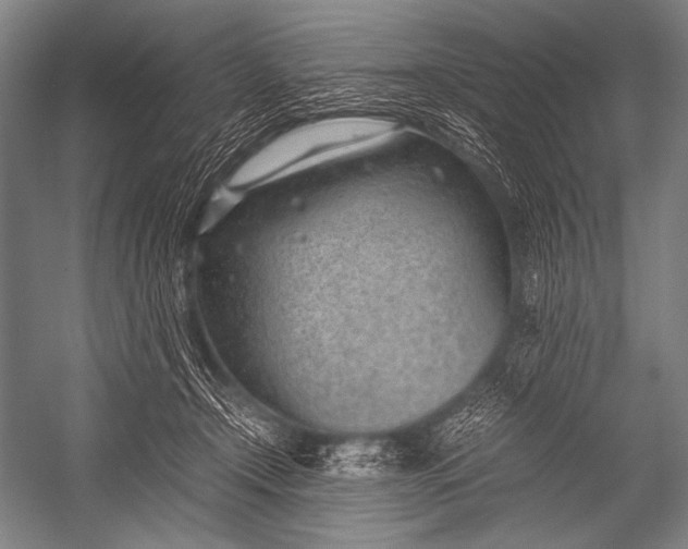 X0000052560366200507221442