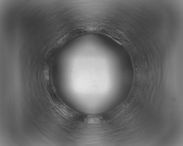 X0000052560368200507221442