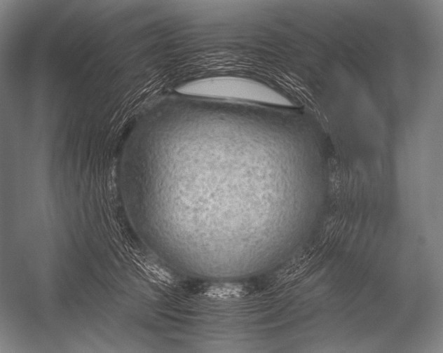 X0000052560369200507221442