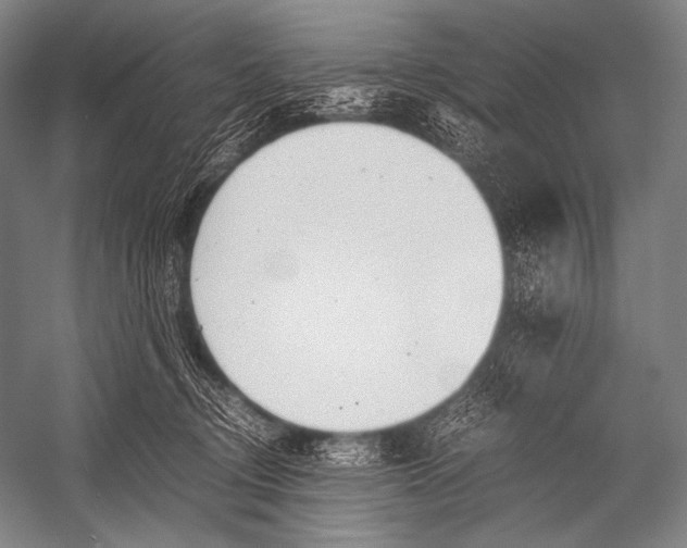 X0000052560370200507221442