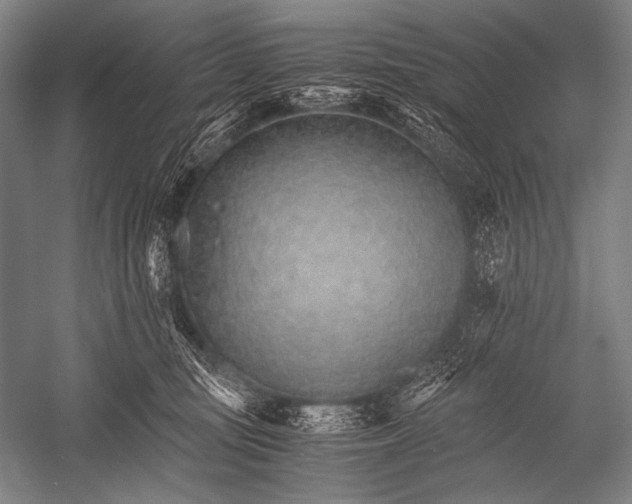 X0000052560371200507221442