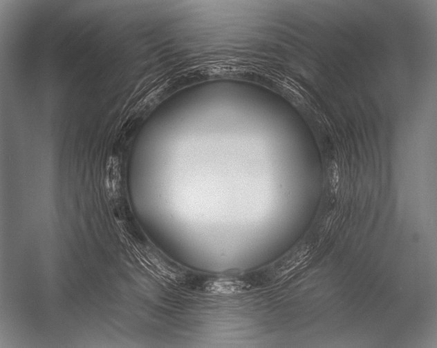X0000052560372200507221442