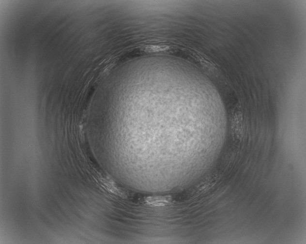 X0000052560373200507221442