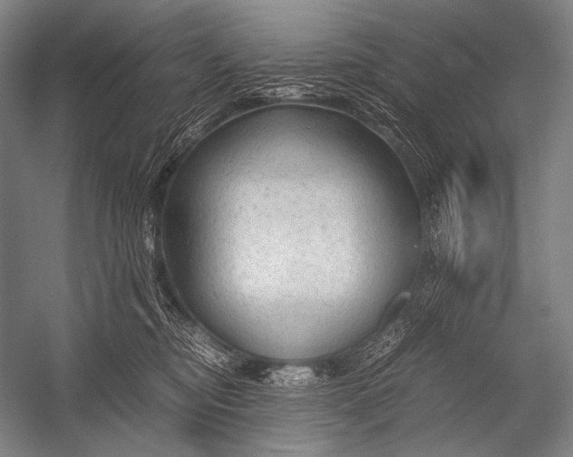 X0000052560374200507221442