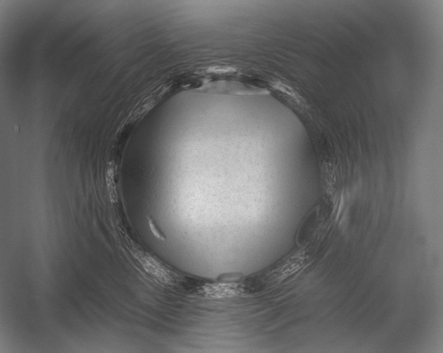 X0000052560378200507221442