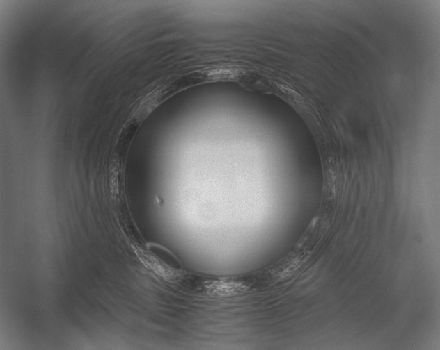 X0000052560379200507221442