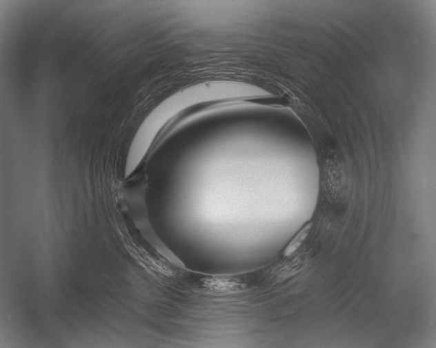 X0000052560380200507221442