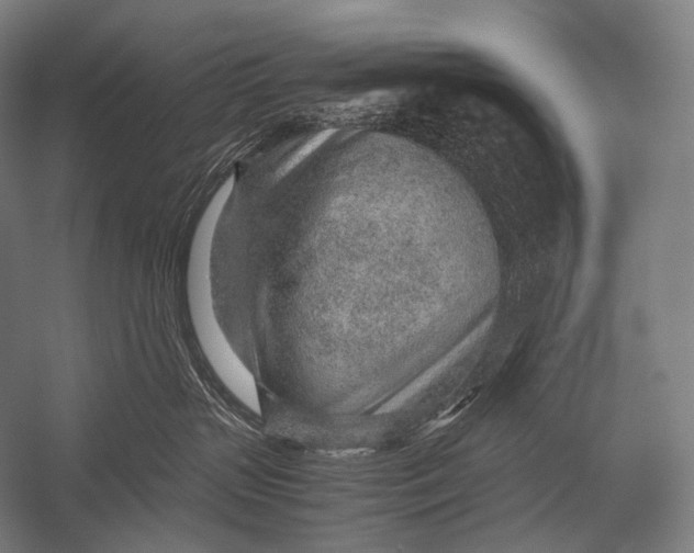 X0000052560383200507221442