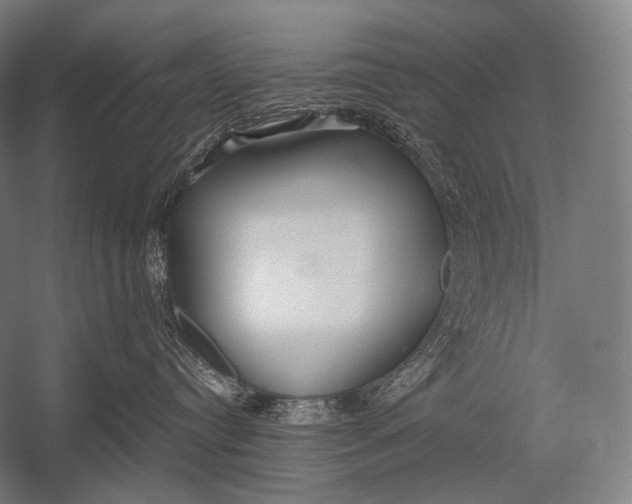 X0000052560384200507221442