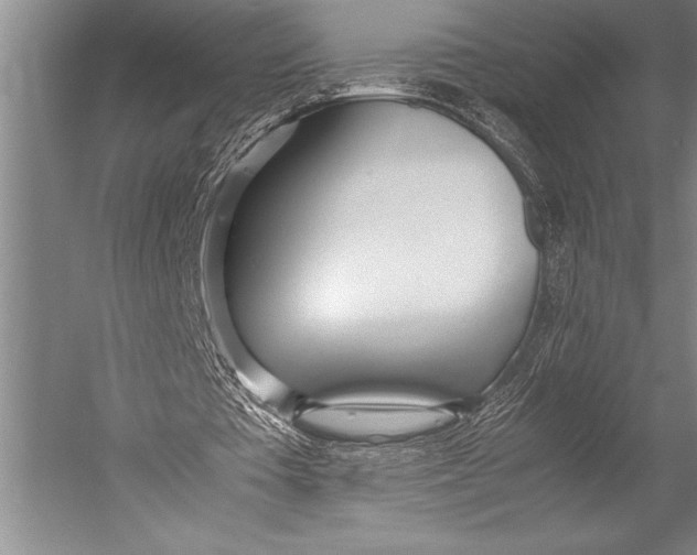 X0000052560385200507221441