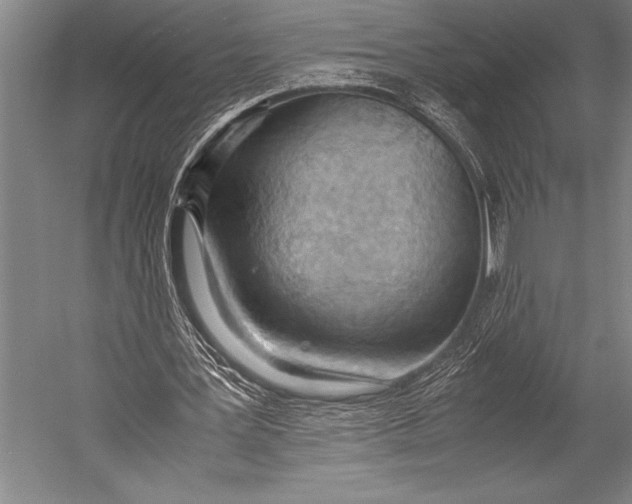 X0000052560387200507221441