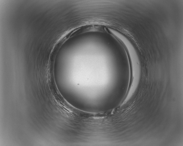 X0000052560388200507221441
