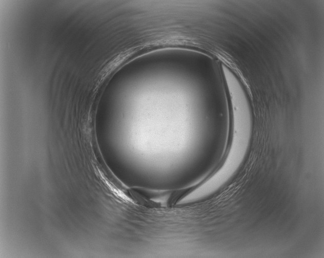 X0000052560389200507221441