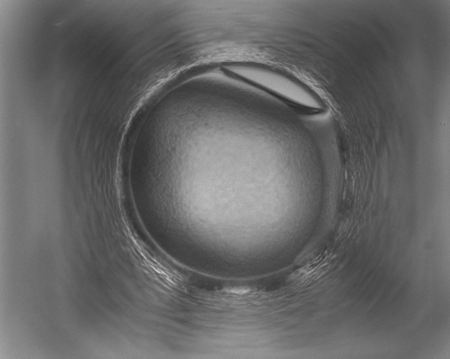 X0000052560391200507221441