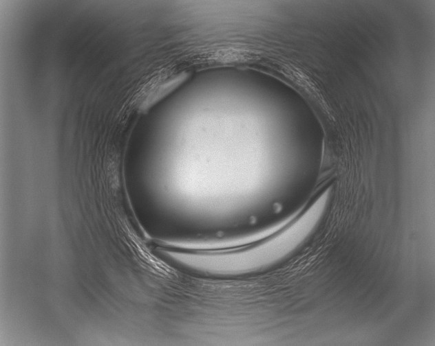 X0000052560393200507221441