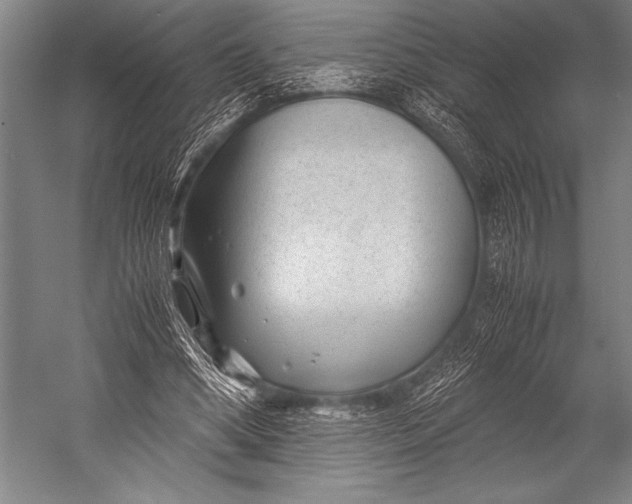 X0000052560394200507221441