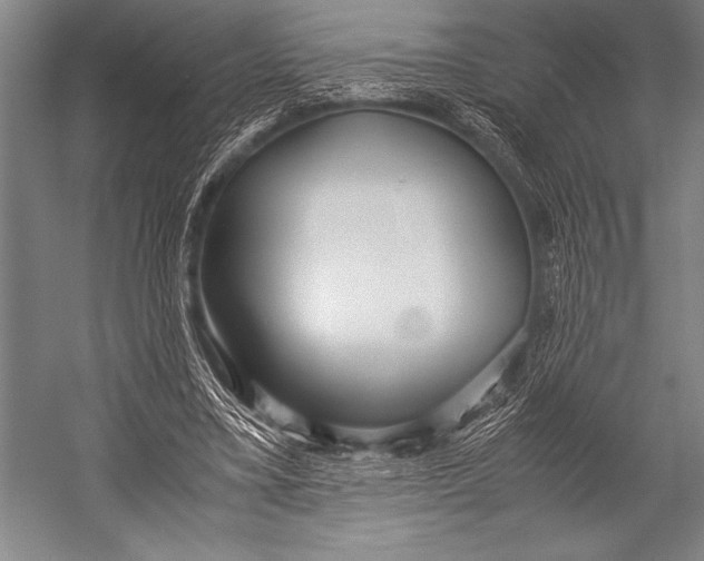 X0000052560395200507221441