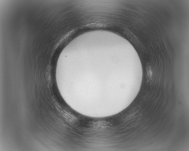 X0000052560396200507221441