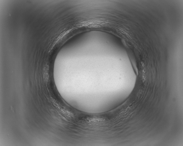 X0000052560400200507221441